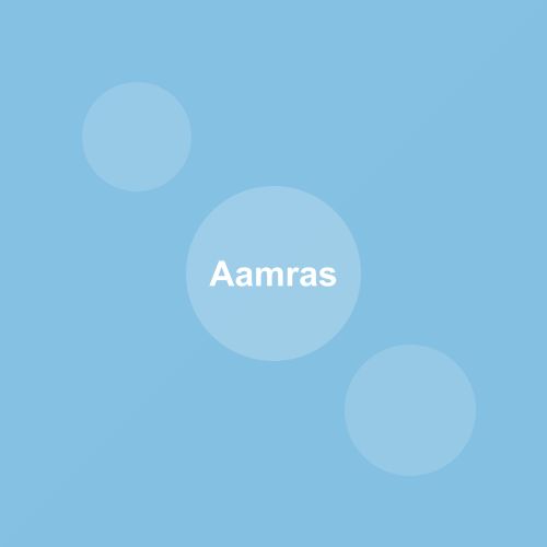 Traditional Aamras dish from Gujarat, India — Authentic recipe from Eat By State