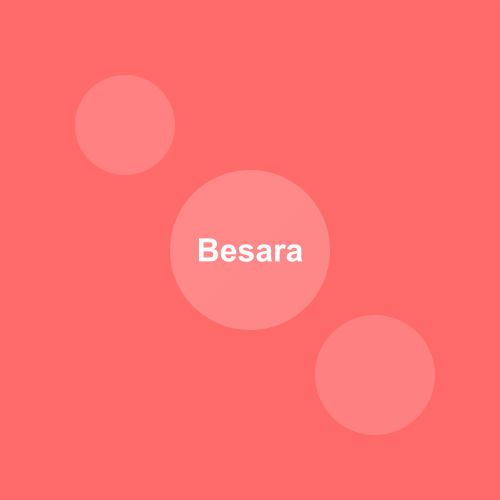 Traditional Besara dish from Odisha, India — Authentic recipe from Eat By State