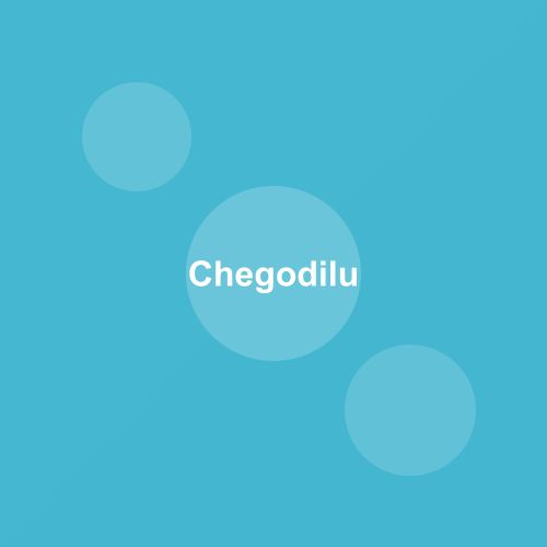 Traditional Chegodilu dish from Telangana, India — Authentic recipe from Eat By State