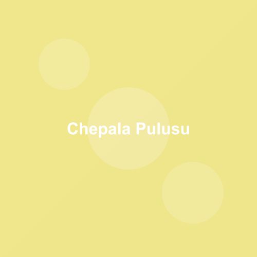 Traditional Chepala Pulusu dish from Andhra Pradesh, India — Authentic recipe from Eat By State