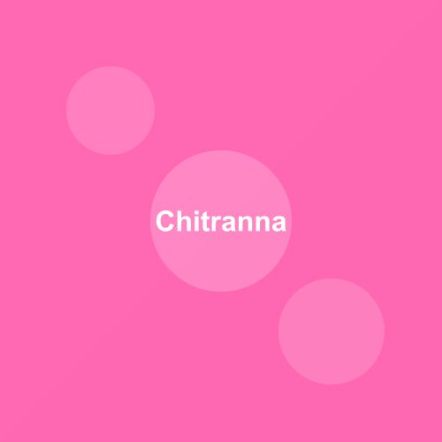 Traditional Chitranna dish from Karnataka, India — Authentic recipe from Eat By State