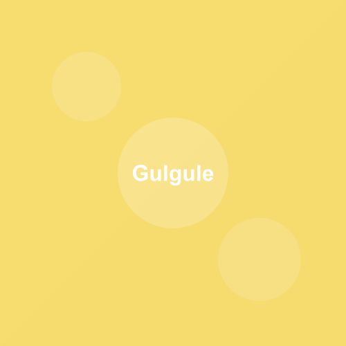 Traditional Gulgule dish from Madhya Pradesh, India — Authentic recipe from Eat By State