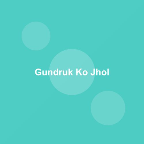 Traditional Gundruk Ko Jhol dish from Sikkim, India — Authentic recipe from Eat By State