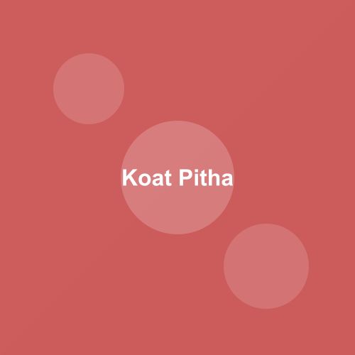 Traditional Koat Pitha dish from Mizoram, India — Authentic recipe from Eat By State