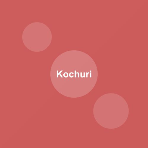 Traditional Kochuri dish from West Bengal, India — Authentic recipe from Eat By State