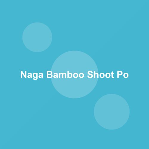 Traditional Bamboo Shoot Pork Curry dish from Nagaland, India — Authentic recipe from Eat By State