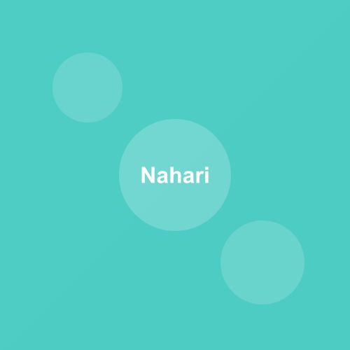 Traditional Nahari dish from Delhi, India — Authentic recipe from Eat By State