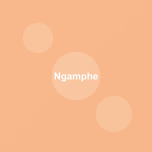 Traditional Ngamphe dish from Ladakh, India — Authentic recipe from Eat By State