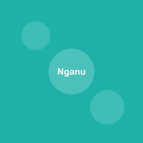 Traditional Nganu dish from Mizoram, India — Authentic recipe from Eat By State