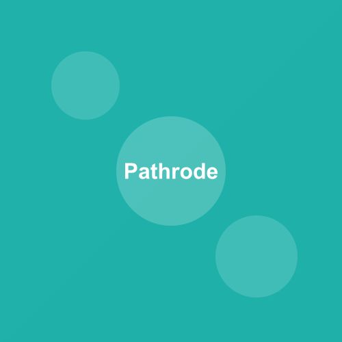 Traditional Pathrode dish from Karnataka, India — Authentic recipe from Eat By State