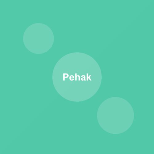 Traditional Pehak dish from Arunachal Pradesh, India — Authentic recipe from Eat By State