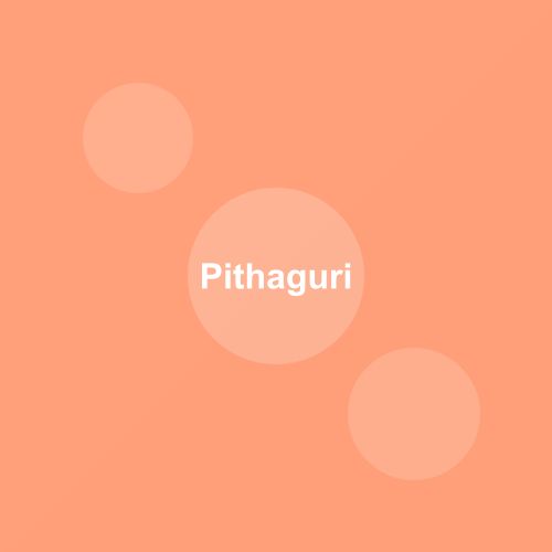 Traditional Pithaguri dish from Assam, India — Authentic recipe from Eat By State