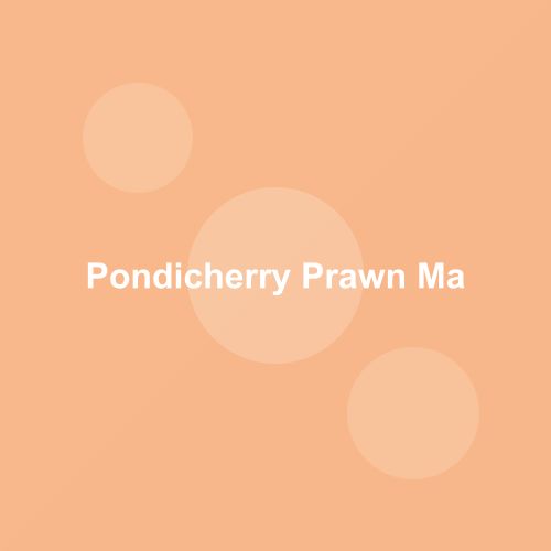 Traditional Pondicherry Prawn Masala dish from Puducherry, India — Authentic recipe from Eat By State