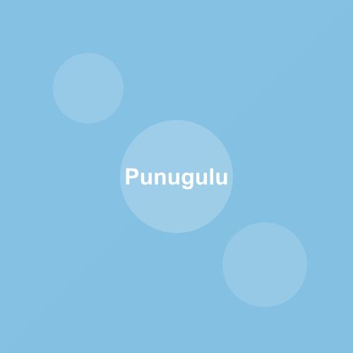 Traditional Punugulu dish from Andhra Pradesh, India — Authentic recipe from Eat By State