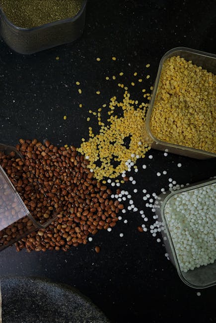 Traditional Sabudana Khichdi dish from Maharashtra, India — Authentic recipe from Eat By State