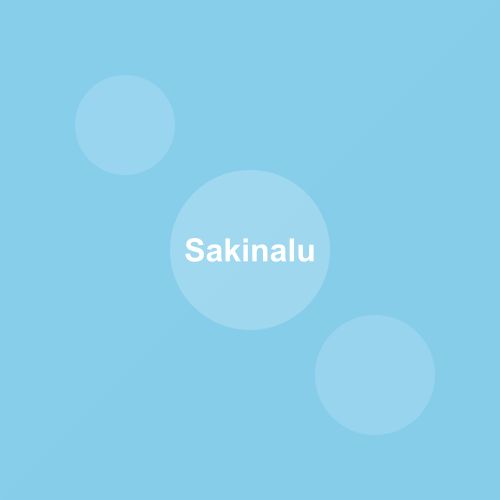 Traditional Sakinalu dish from Telangana, India — Authentic recipe from Eat By State