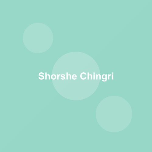 Traditional Shorshe Chingri dish from West Bengal, India — Authentic recipe from Eat By State