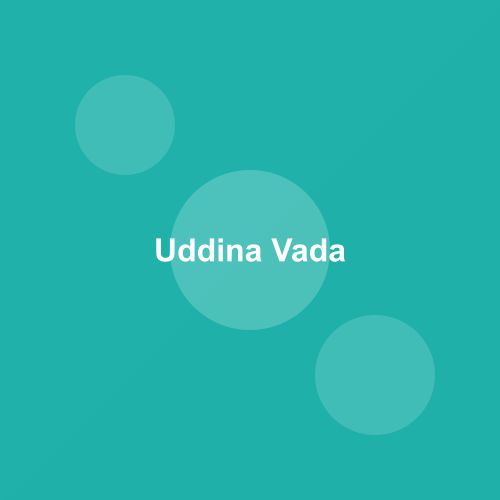 Traditional Uddina Vada dish from Karnataka, India — Authentic recipe from Eat By State